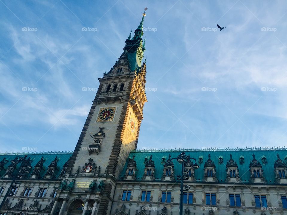 Hamburg City Hall