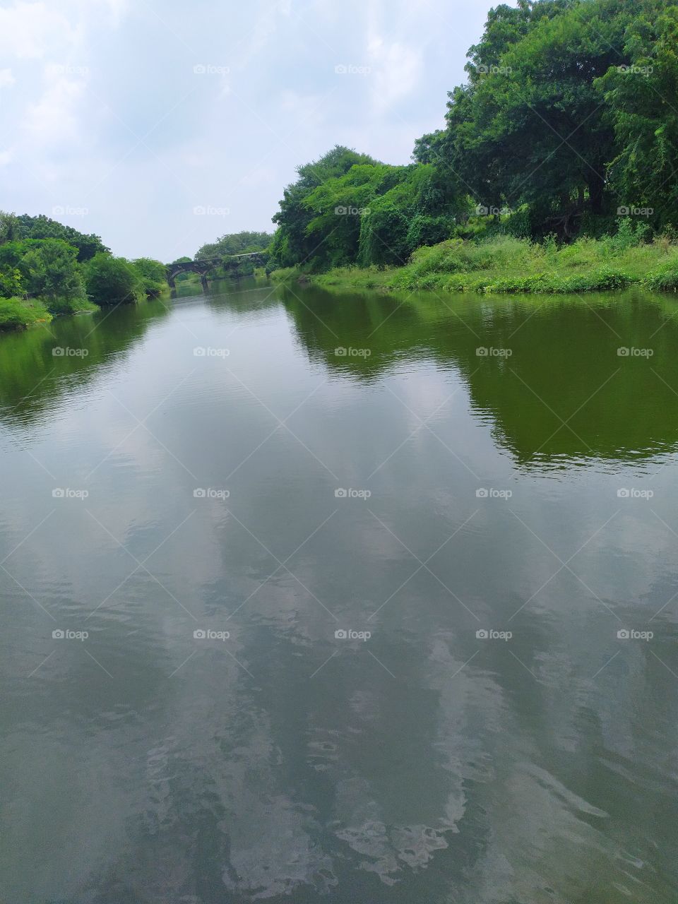 beautiful river and forest in cloudy sky