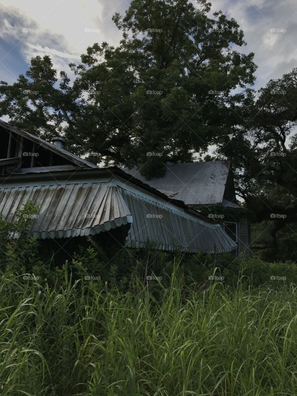 An old abandoned family home in southern Louisiana. Deep green overgrowth of plants surrounds a collapsed southern front porch. 
