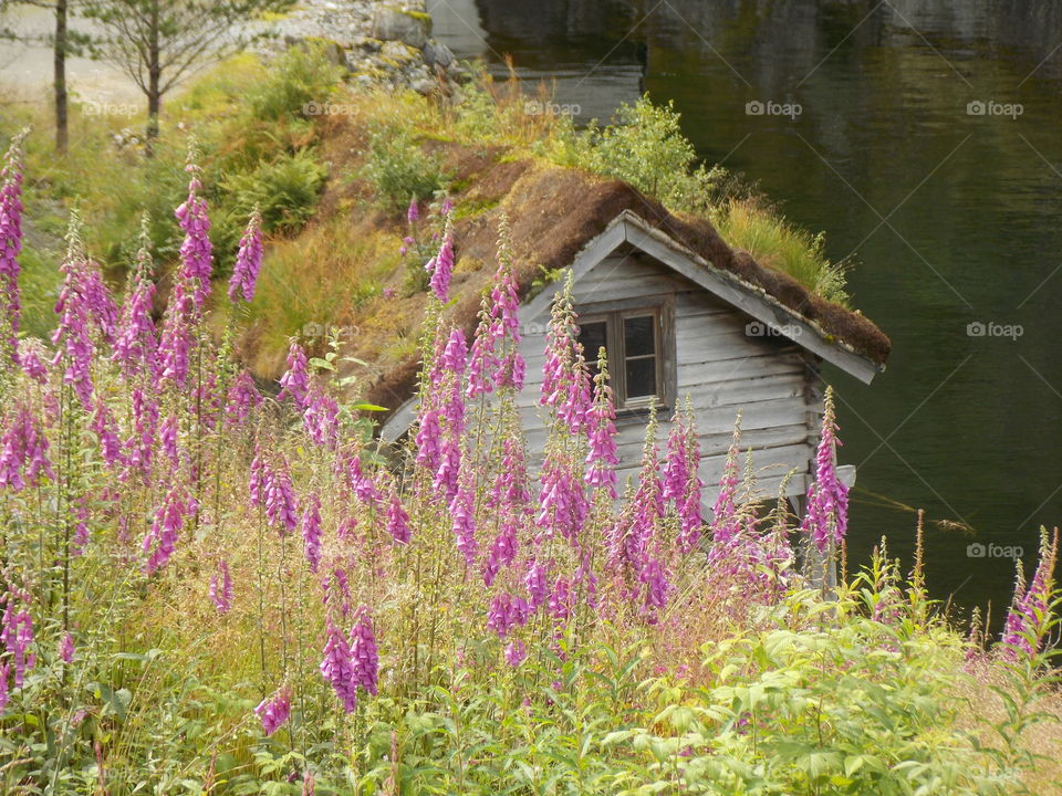 Spring in Norway