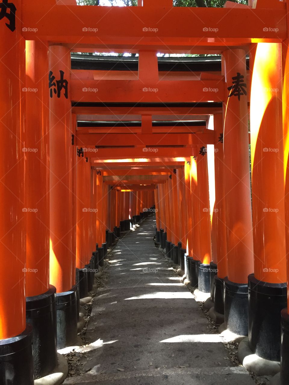 Hushing Imari in Kyoto