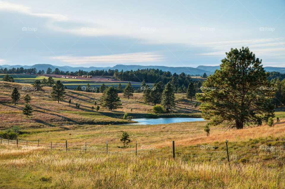 Beautiful Rapid City, South Dakota