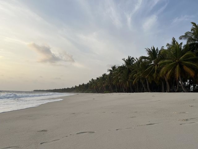 The unique white sandy beach of Gnaviyani Fuvahmulah. The tree line is made of coconut trees. The island is one of the most attractive in the archipelago.