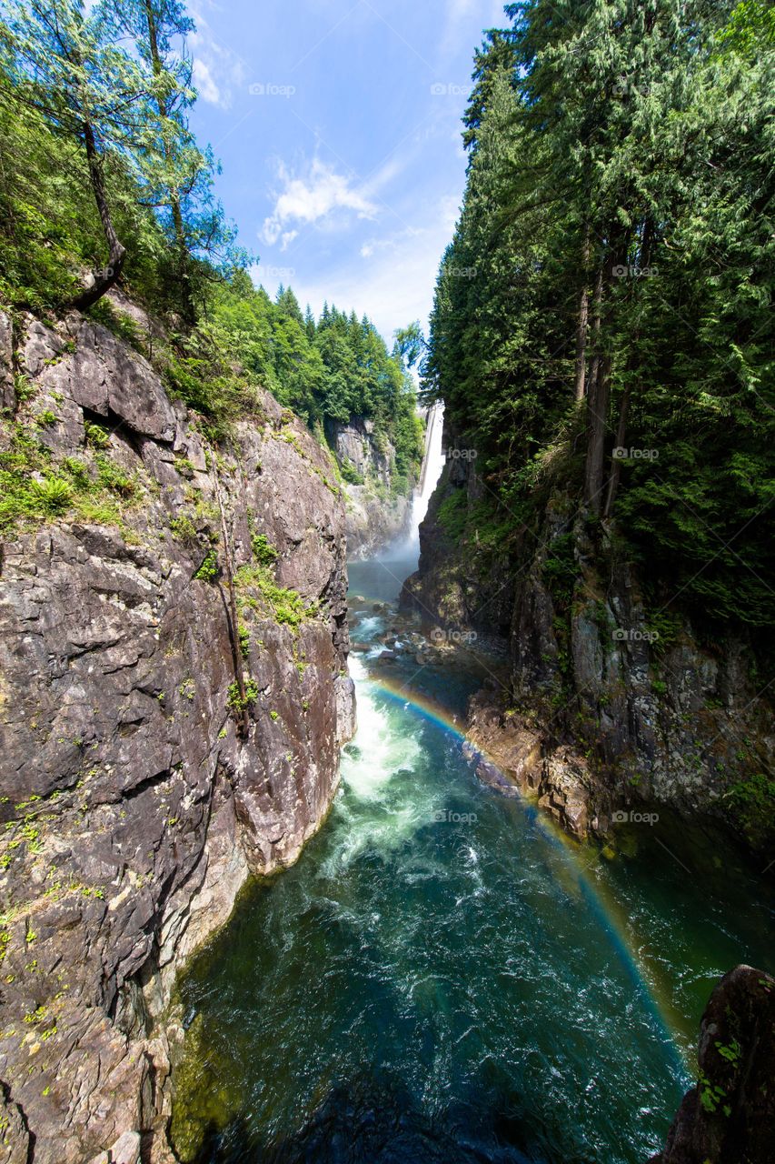 View of waterfall in forest