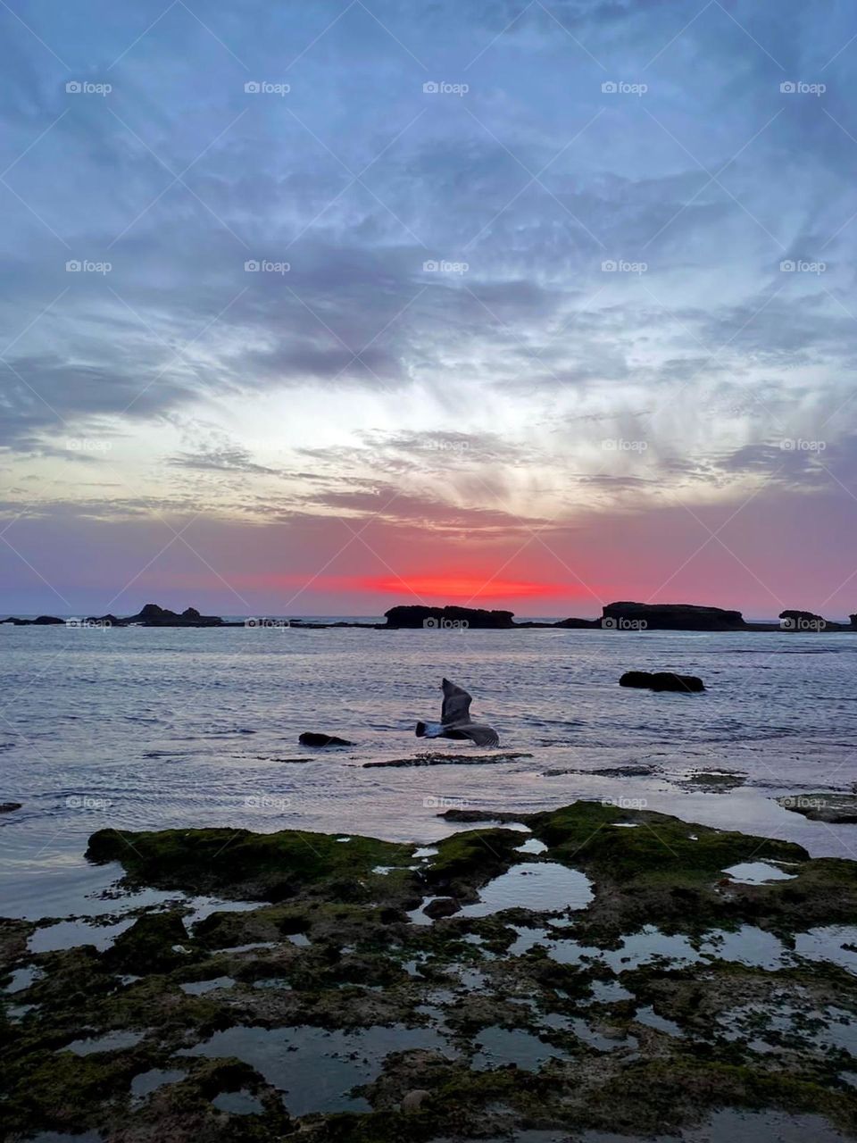 Beautiful and magic sunset at essaouira city in Morocco.