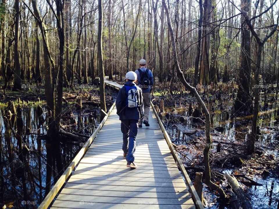 Walking through the swamp