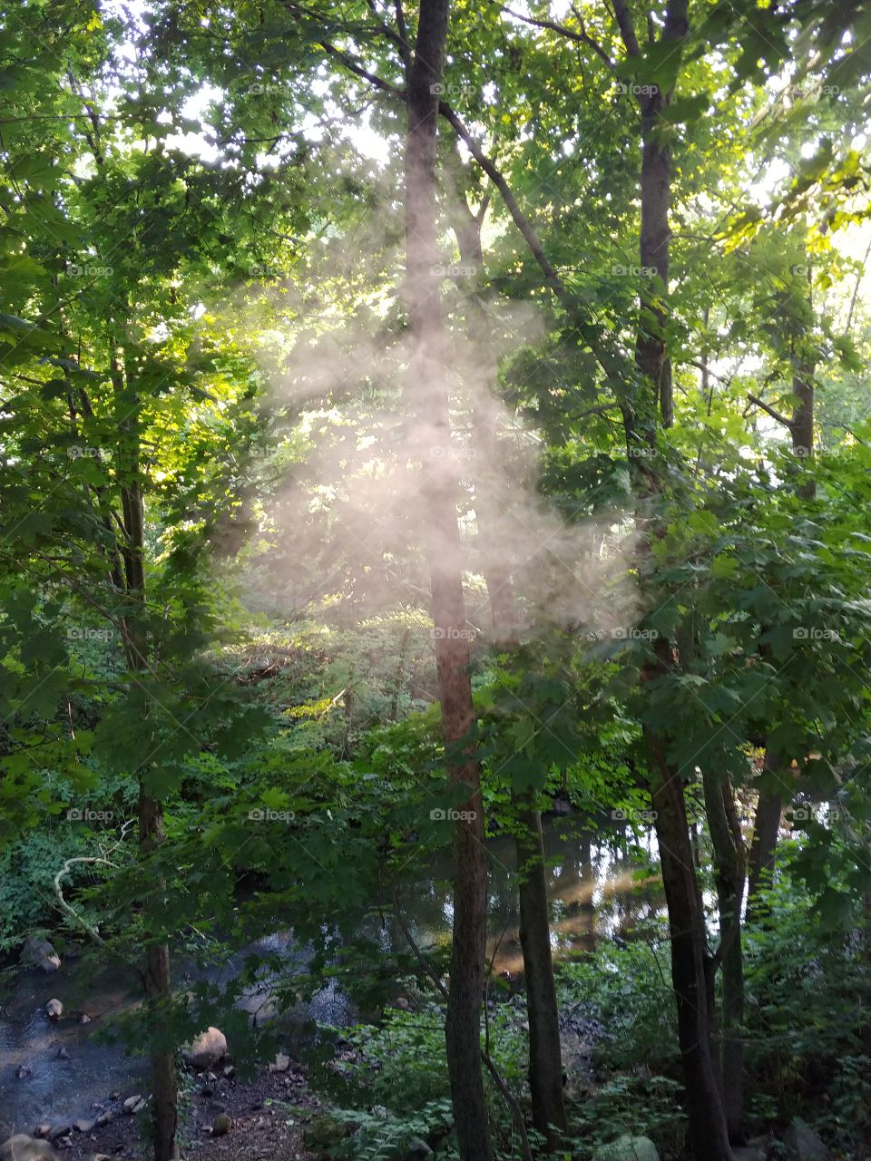 just a cloud of smoke from this mornings wake and bake. gotta love smokin by the river, where its so peaceful.