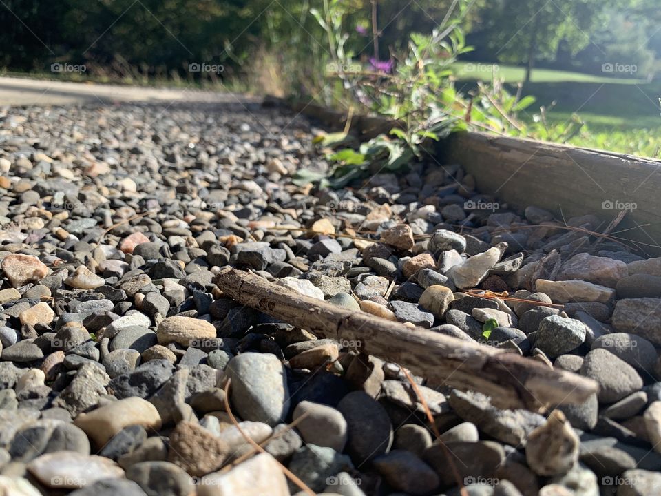 Photos during summer break 