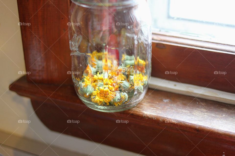 Calendula