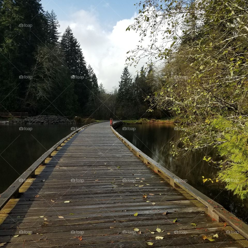 bridge over lake fall