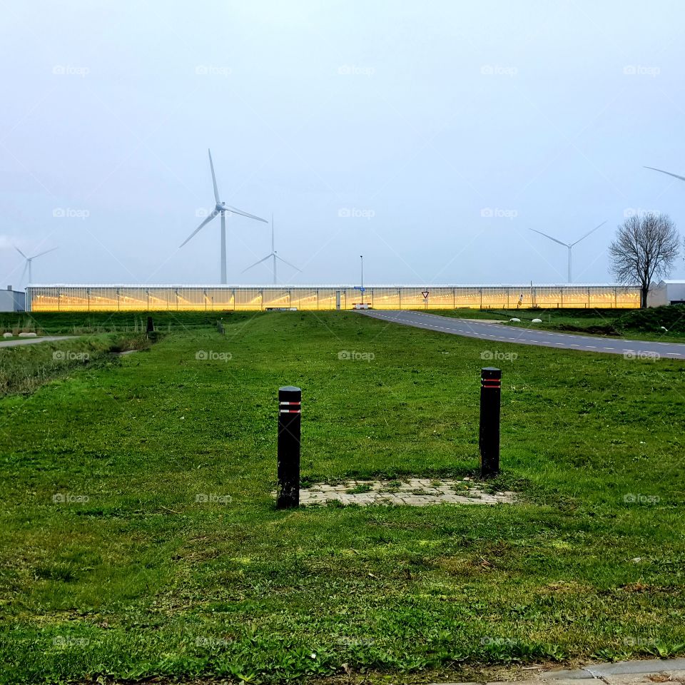 Greenhouse construction in the Netherlands.