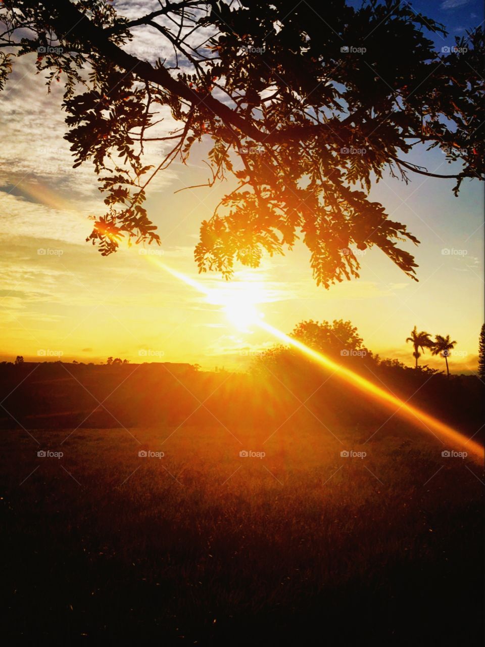 ☀️#Sol muito bonito de #natureza e #beleza indescritíveis.
Obrigado, #MãeTerra.
🌱
#inspiração #amanhecer #morning #fotografia #paisagem #sun #céu #landscapes