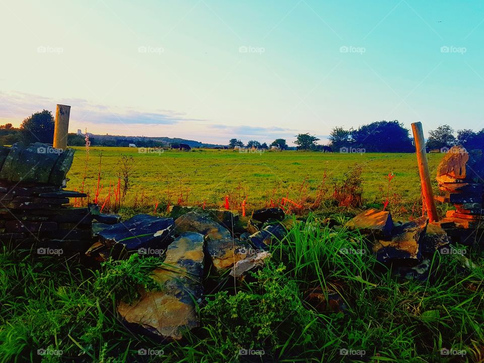 touch of Heat... last days of summer