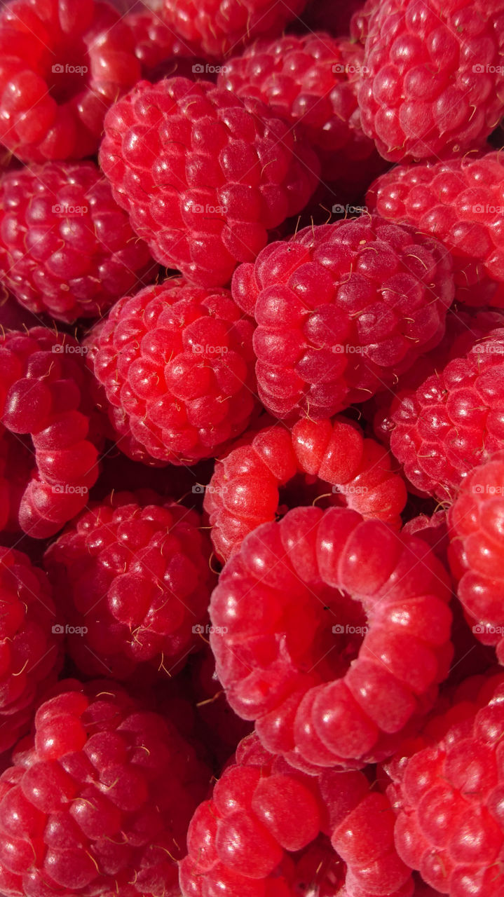 raspberries