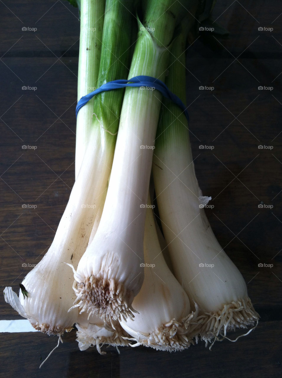 summer onion vegetable band by snapd