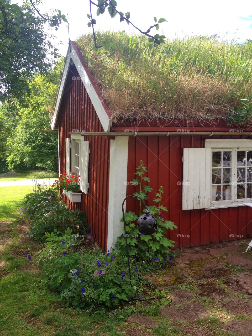 Red cottage with grass on the 