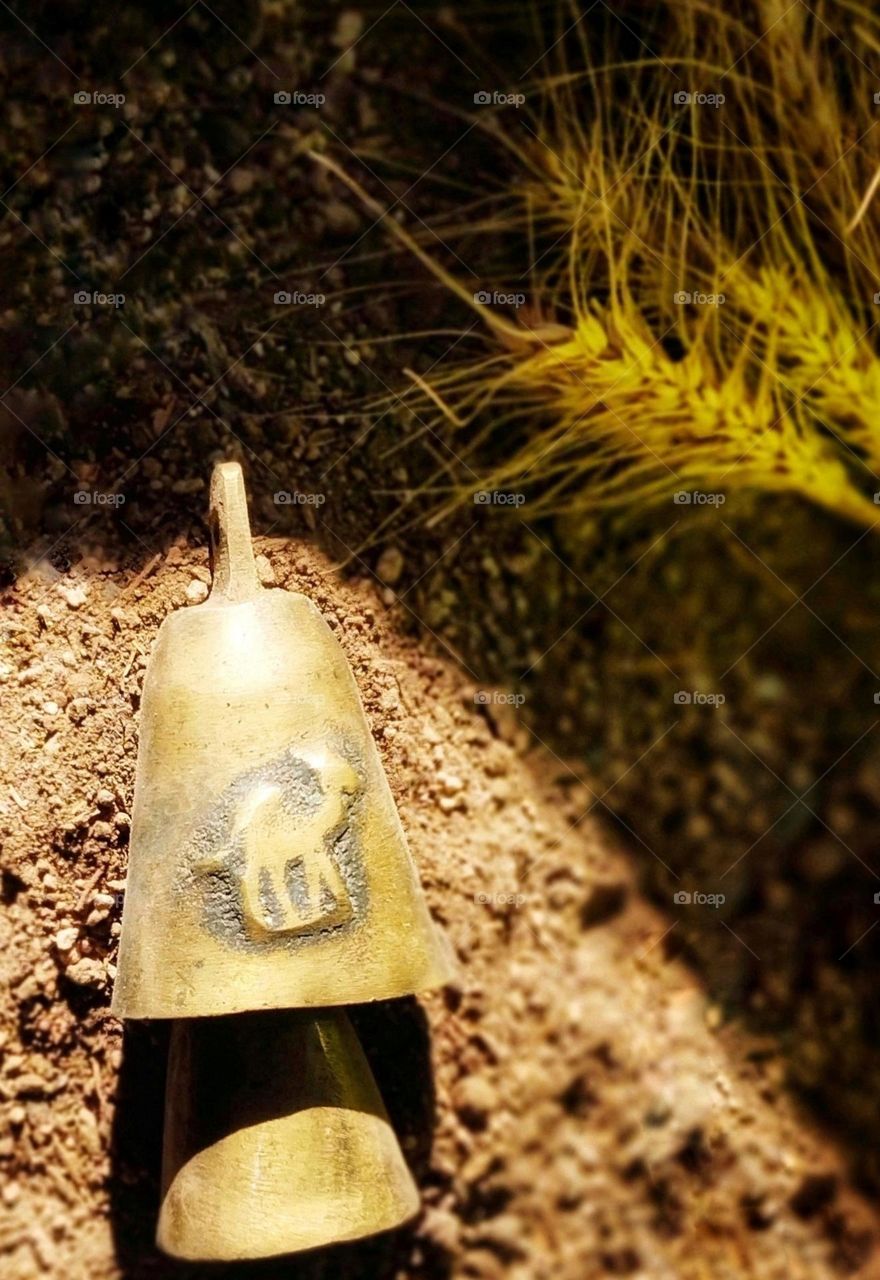 When the bell of the camels stops, it is as if the world is silent...