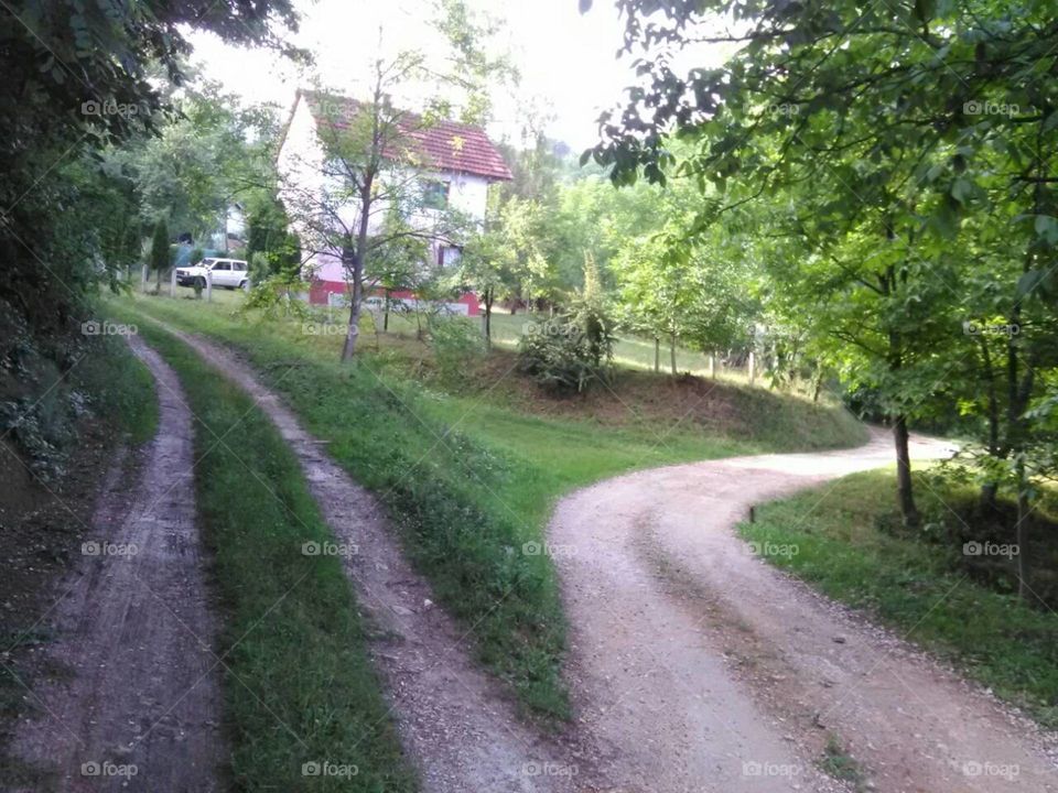 Mountain Jelica Serbia Dragacevo