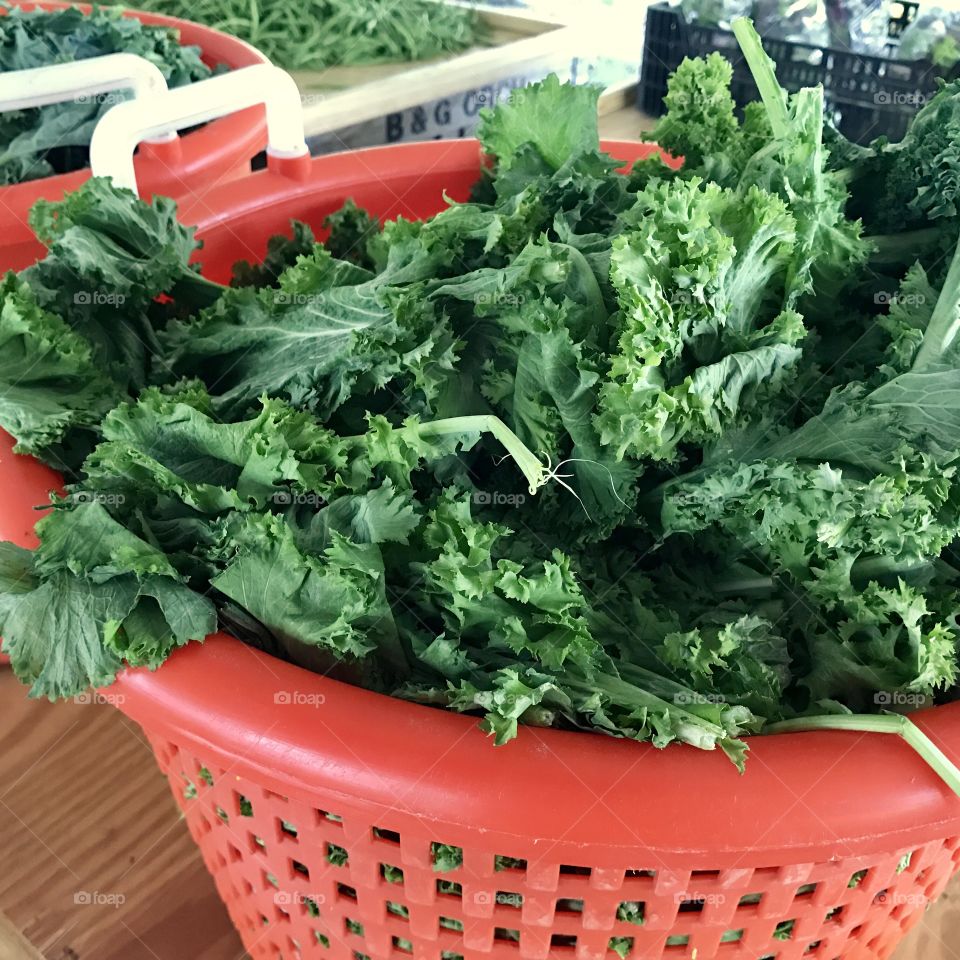 Basket of freshly picked greens