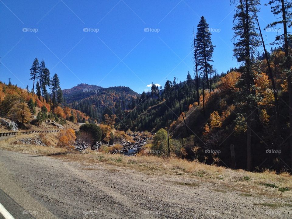 Headed to Lake Tahoe 