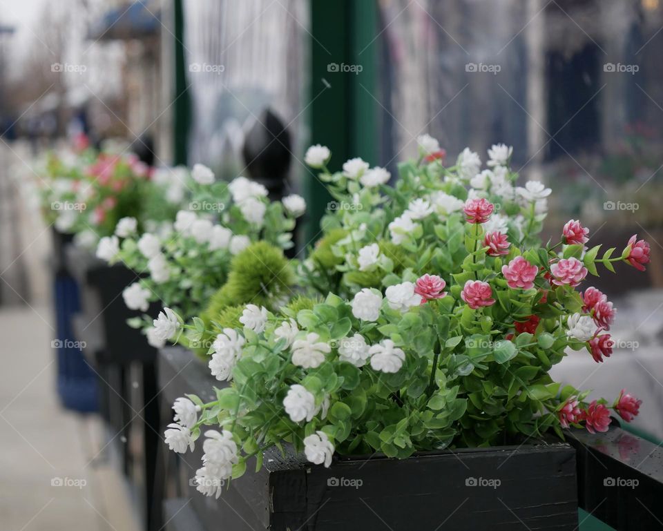 Beautiful fake flowers outside of a local restaurant. 
