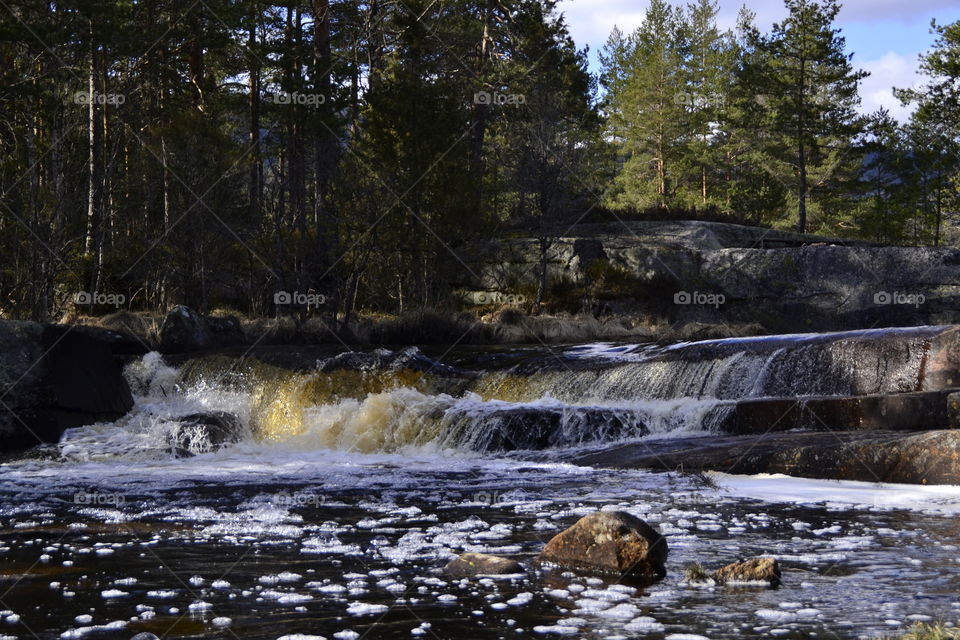 Water in motion 