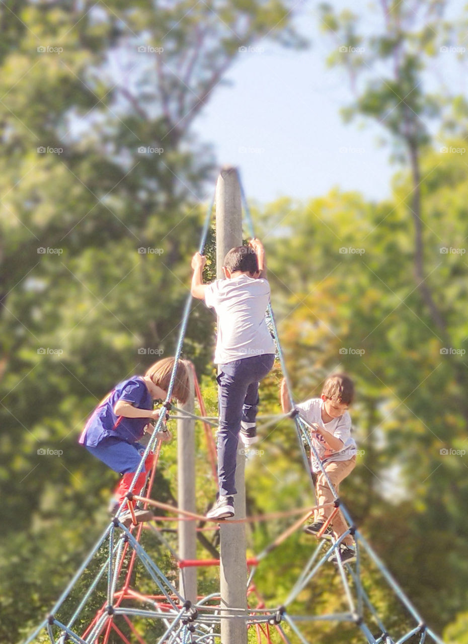 Three boys climbing