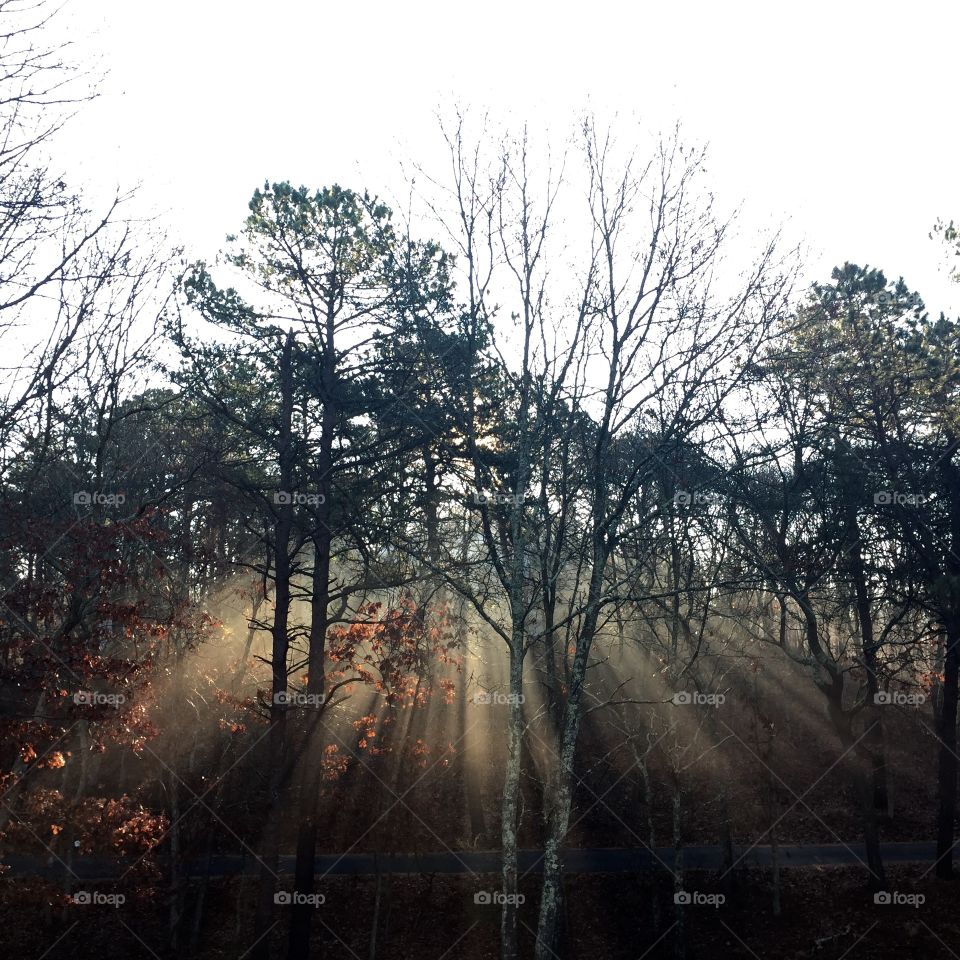 Sun rise on the first frost