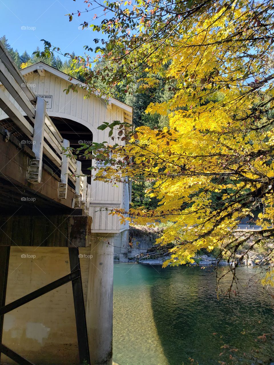 The old covered Goodpasture Bridge built in 1938 near Vida in Western Oregon on a sunny autumn day with lots of fall color around it.