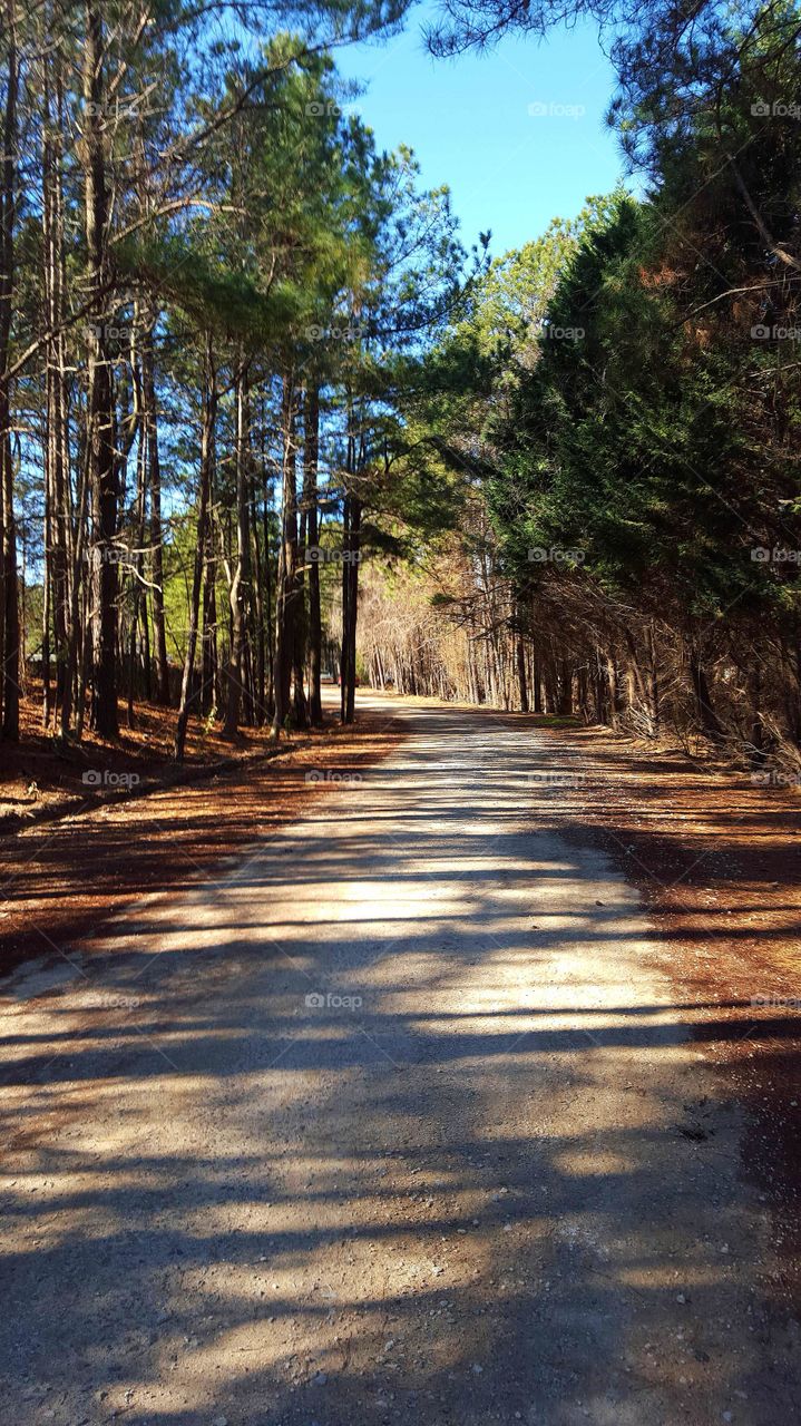 Lunchtime Reset. A casual stroll to clear the the mind.