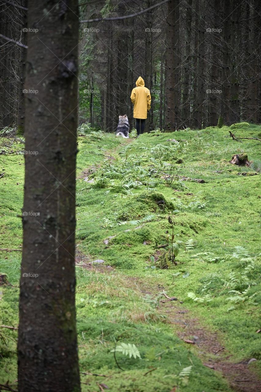Woman in yellow rain jacket walking her dog