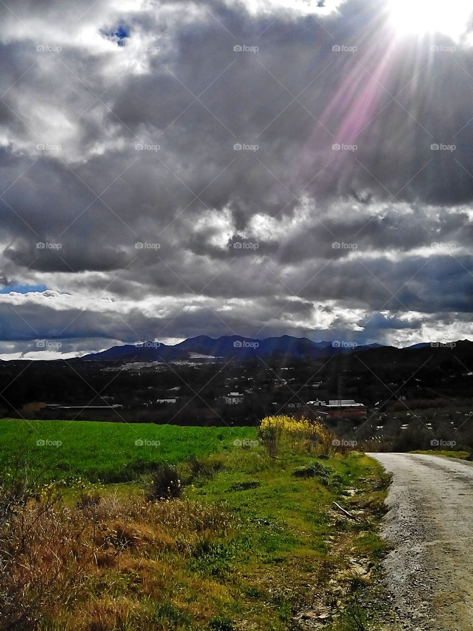 Sun beams on the road . Sun beams on the road 