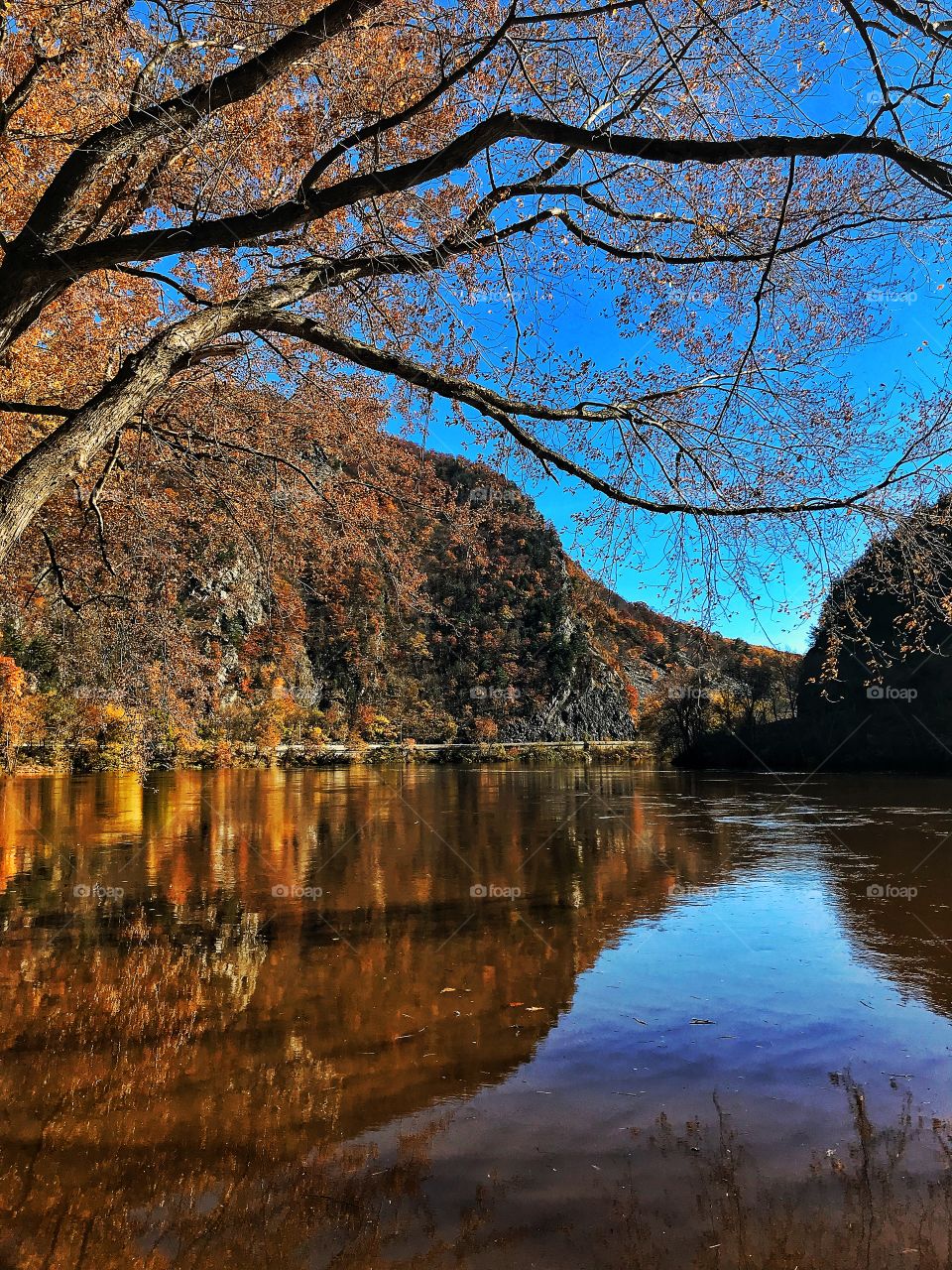 Delaware water gap