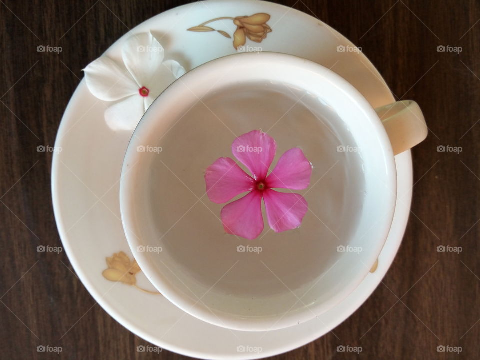 pink periwinkle petal