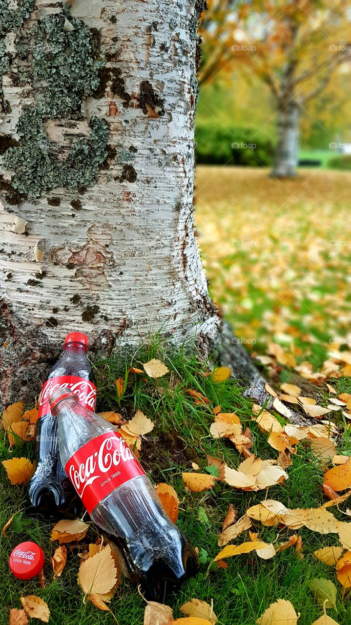 Coca-Cola in the autumn