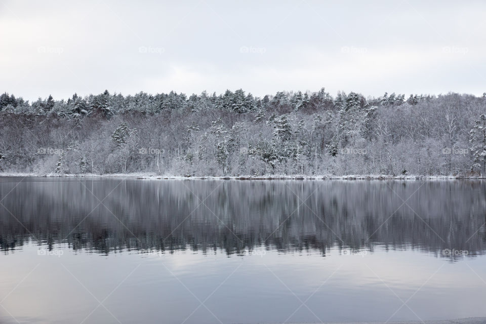 Winter wonderland lake reflection  - vinterlandskap skog sjö reflektion 