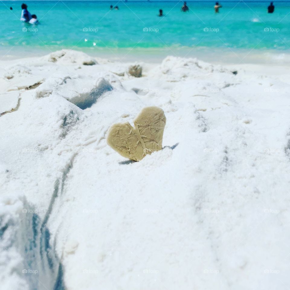 Heart shaped sea shell on the beach