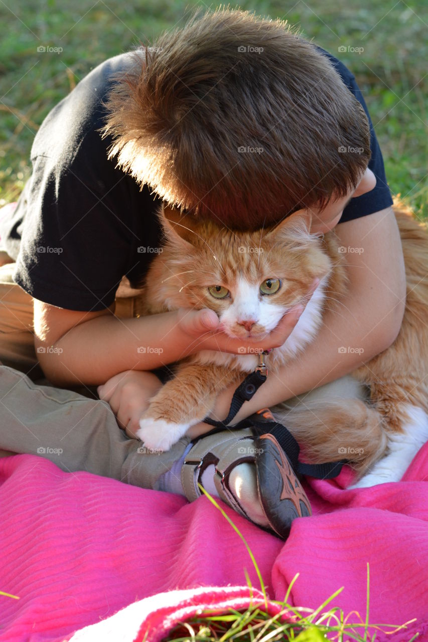 ginger cat on a hands child boy outdoor