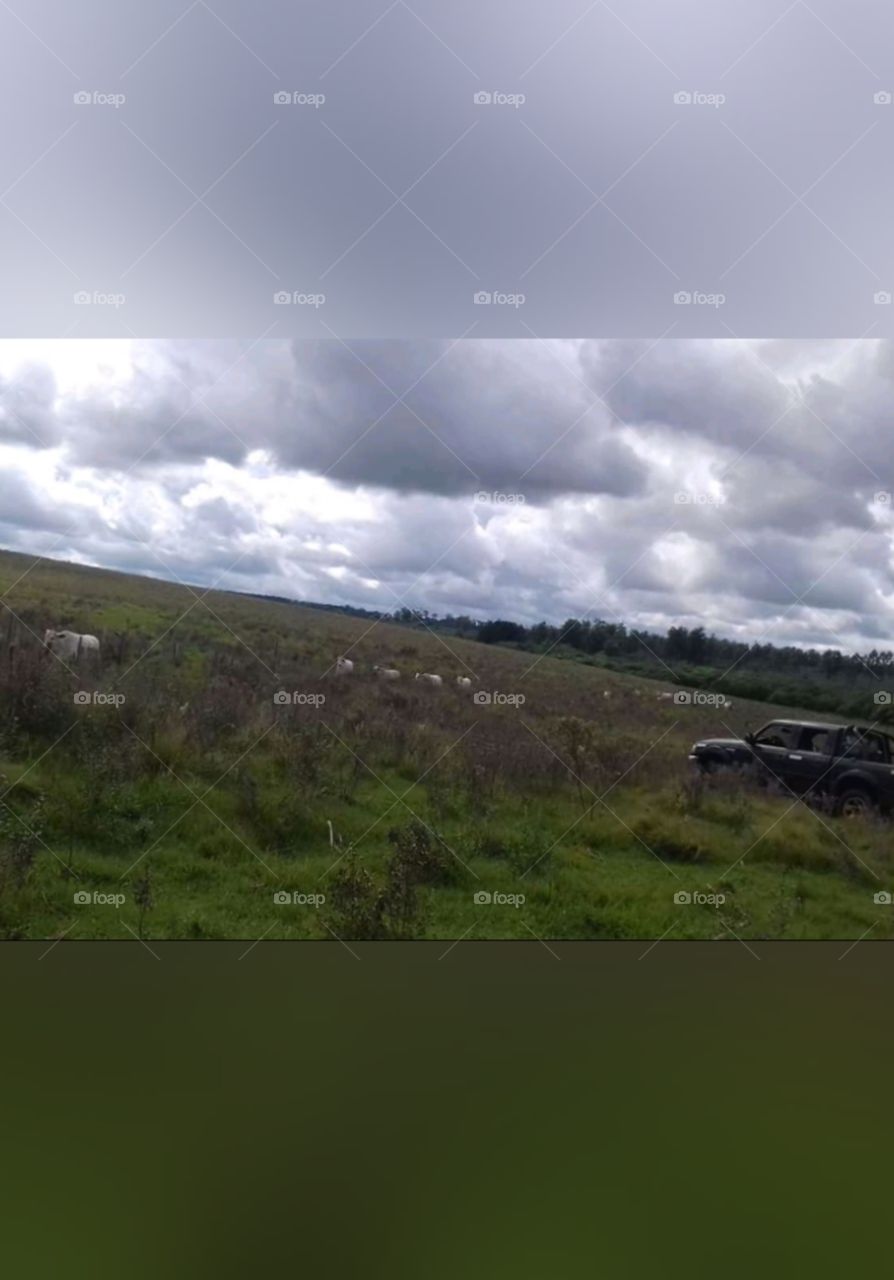 #Naturalesa
#Cute
#work of God