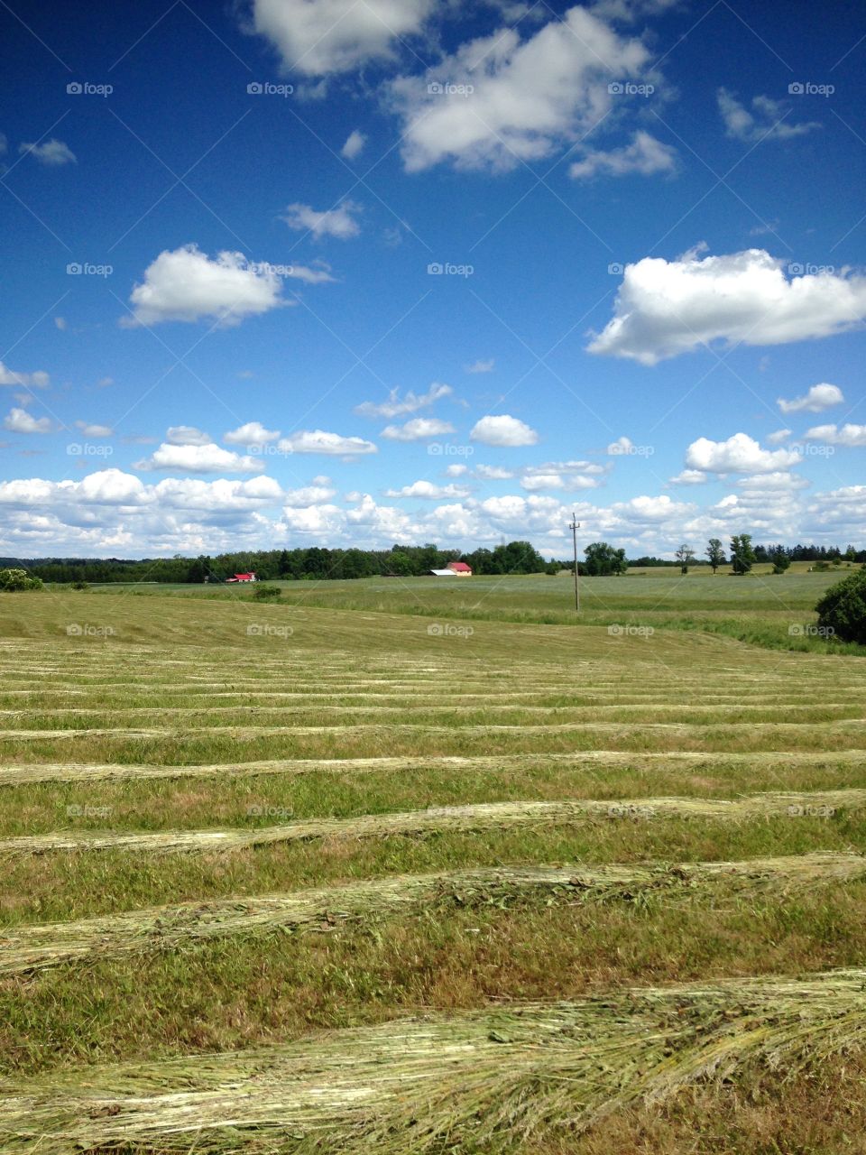 Landscape, Agriculture, No Person, Farm, Nature