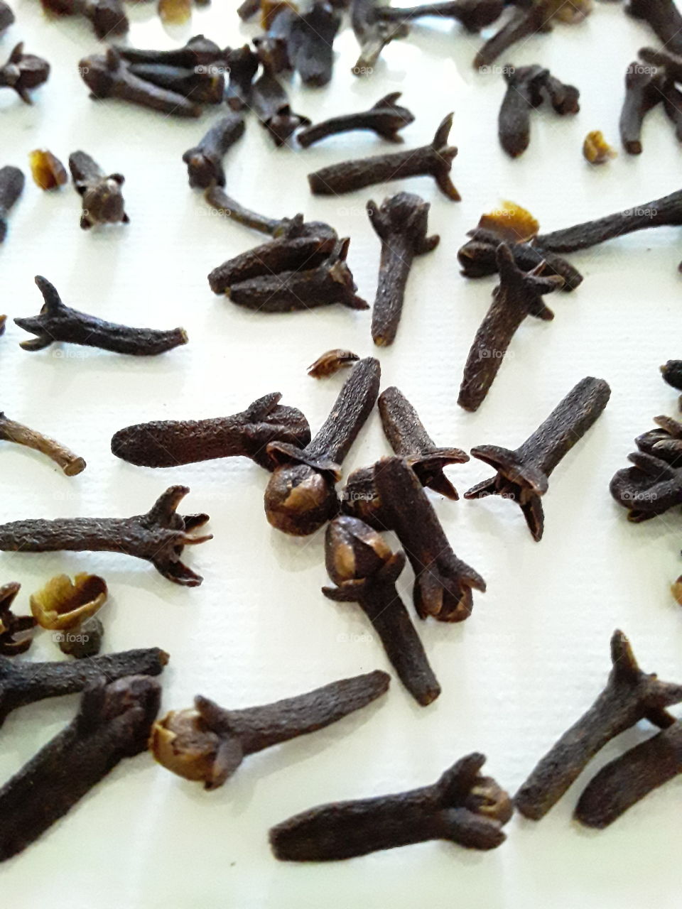 spice cloves