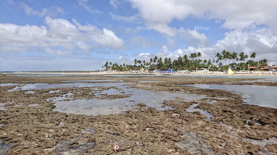 Porto de Gallinas beach 