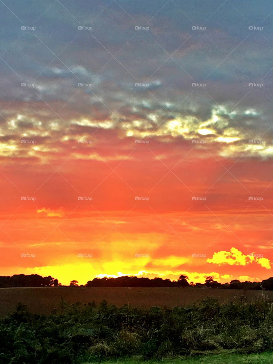 Beautiful Autumn sunset