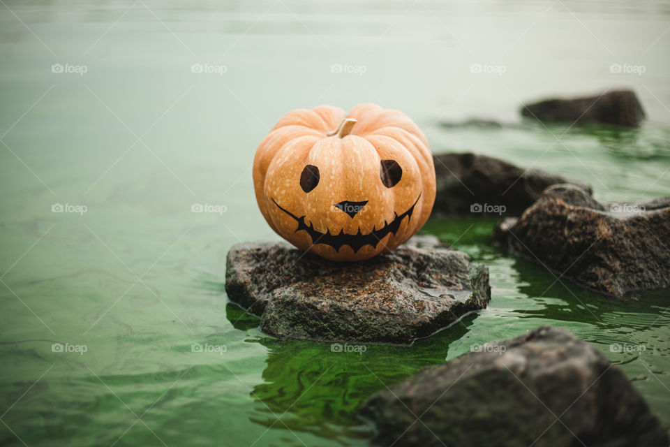 Seasonal Halloween painted pumpkins on stone with lake background. The pumpkins are beautiful and decorative, perfect for a spooky event.