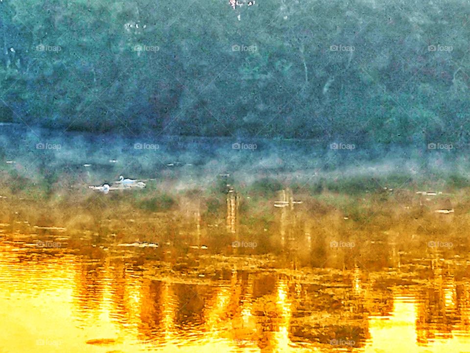 Steamy Swan Lake