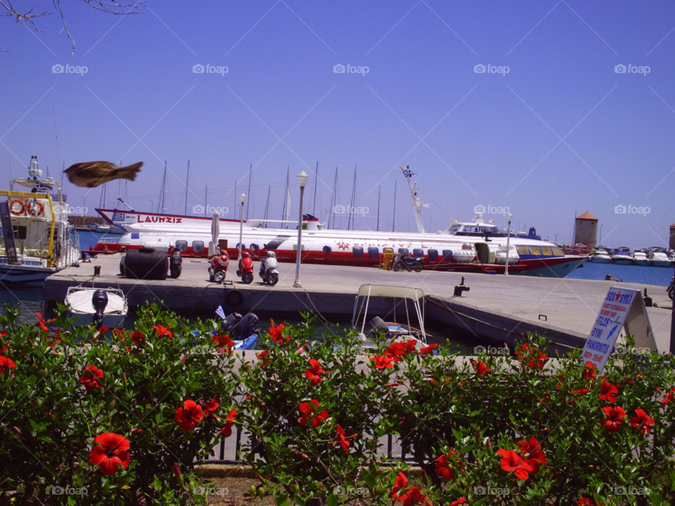 rhodes harbour looking to a pleasure cruiser red flowers in foreground by pawright68