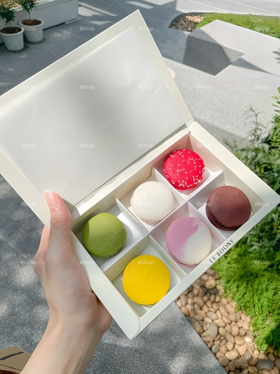 6 color macaroons