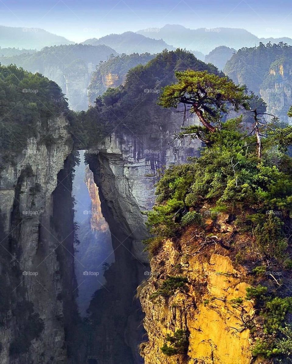 It's hard to believe that this is planet Earth. You stand on the edge before sunrise. Behind a strange forest full of strange sounds. No one around. I wouldn't be surprised to see a dragon over the mountains. Zhangjiajie Forest Park China.