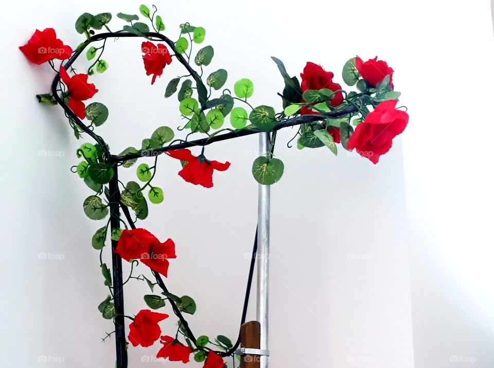 singing with all my heart and body