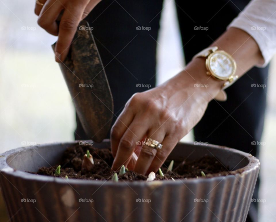 Pot Planting